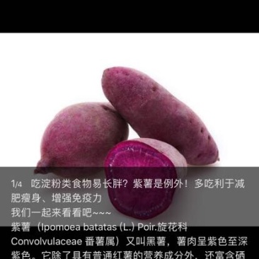 红薯商品薯紫心3两以上