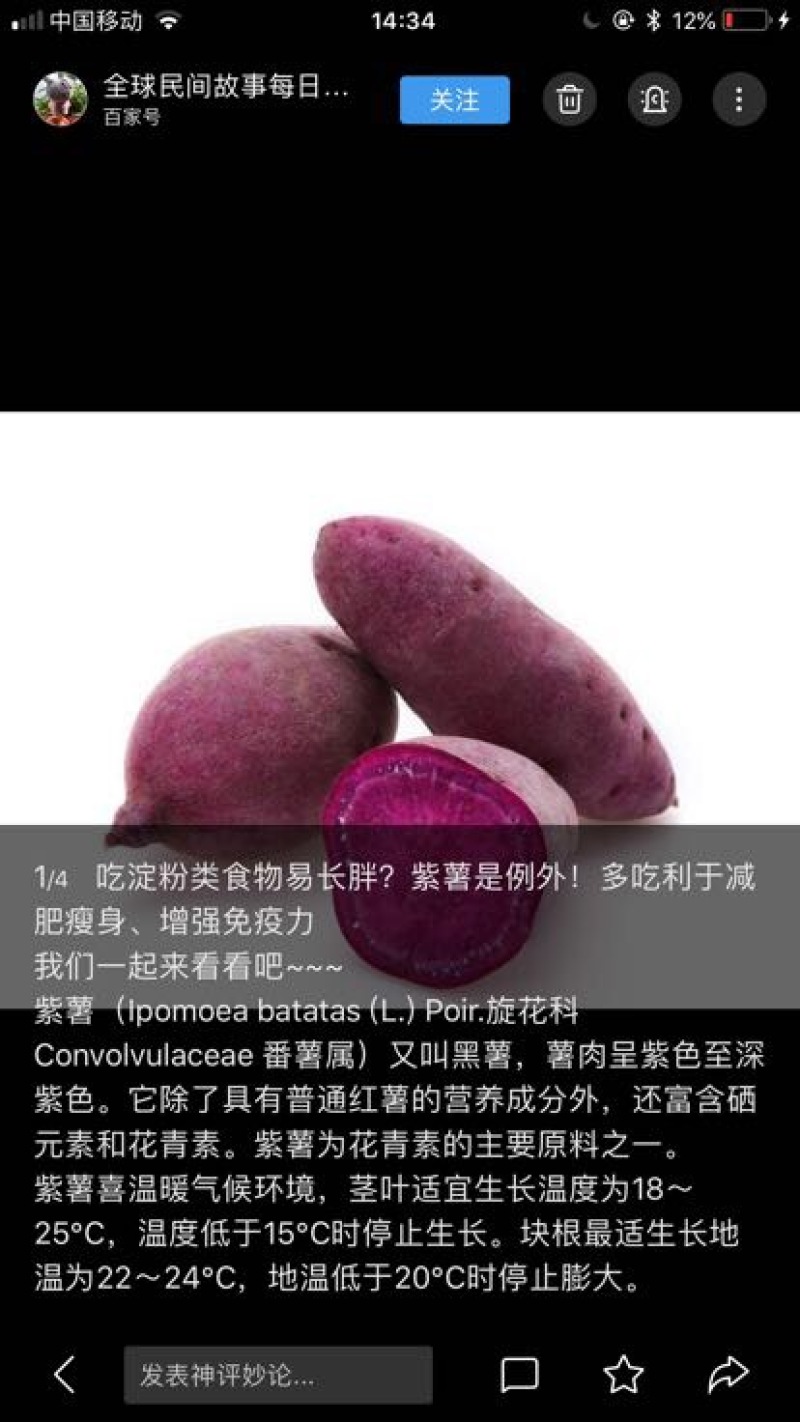 红薯商品薯紫心3两以上
