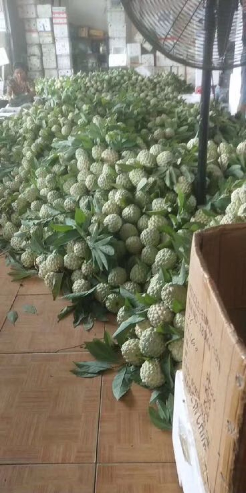 释迦一级750~850g