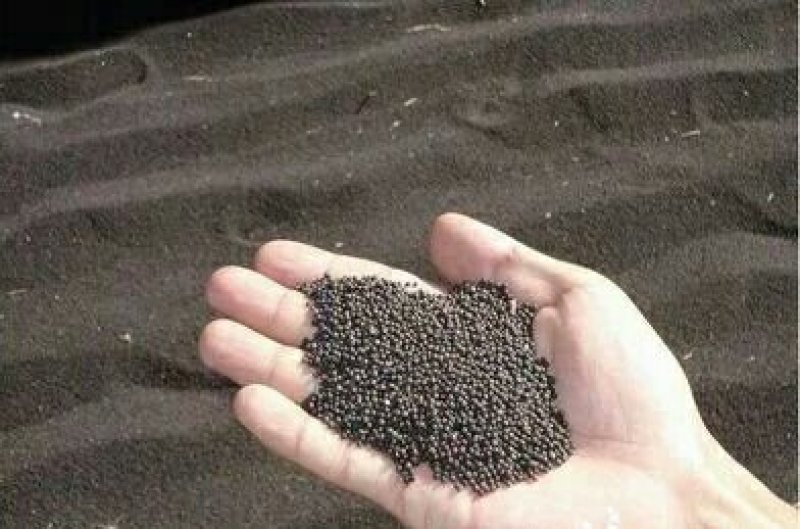 油菜籽一年四季有货~要的第二天发货~