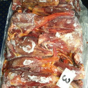 马肉