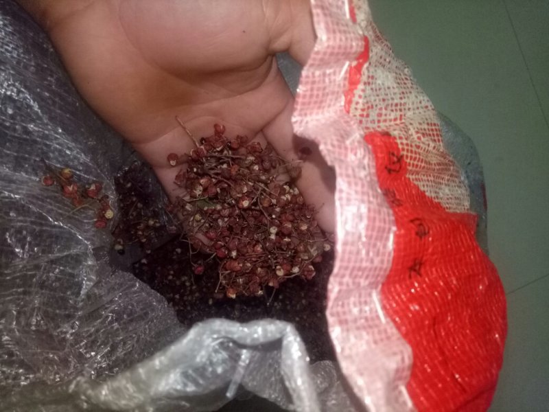 大红袍花椒