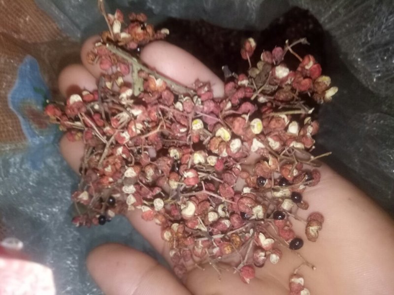 大红袍花椒
