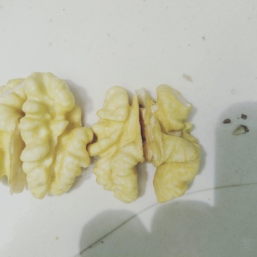提供阿克苏博皮核桃
