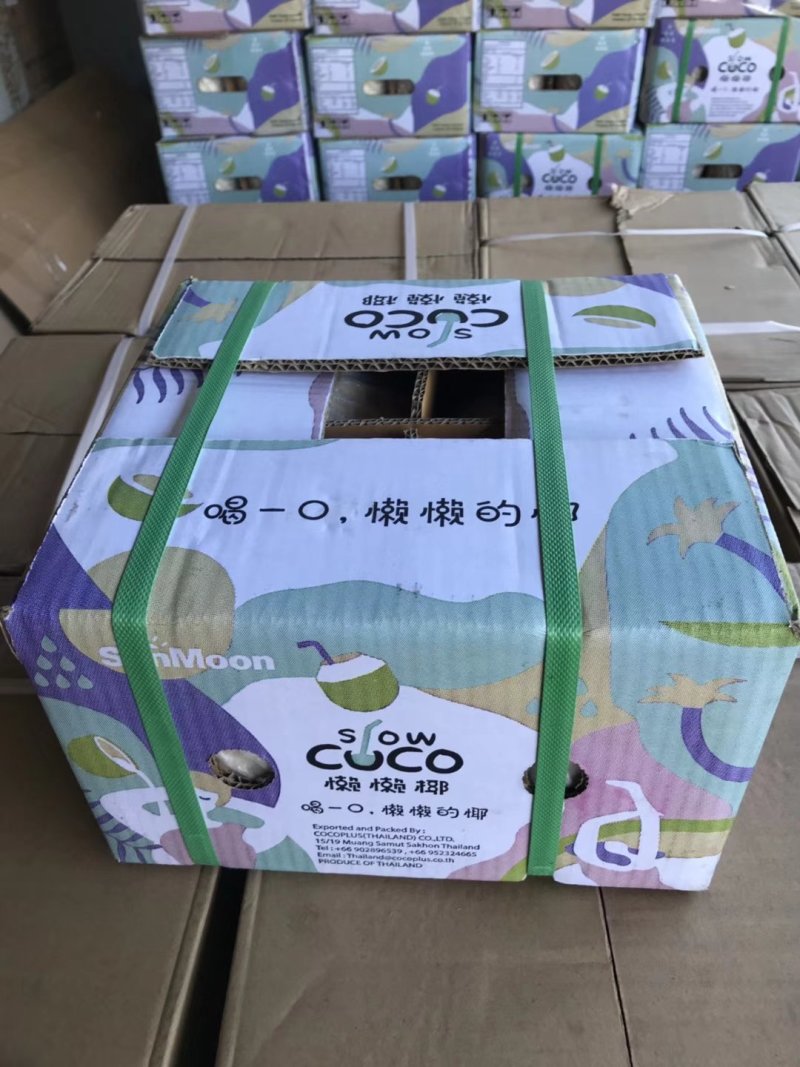 懒懒椰椰青
