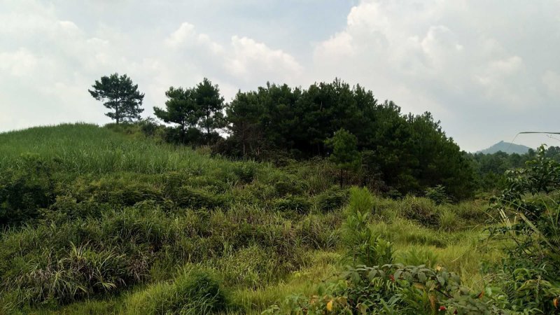 土地出租