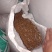 苦豆子