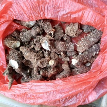 出售江西七叶一枝花干货