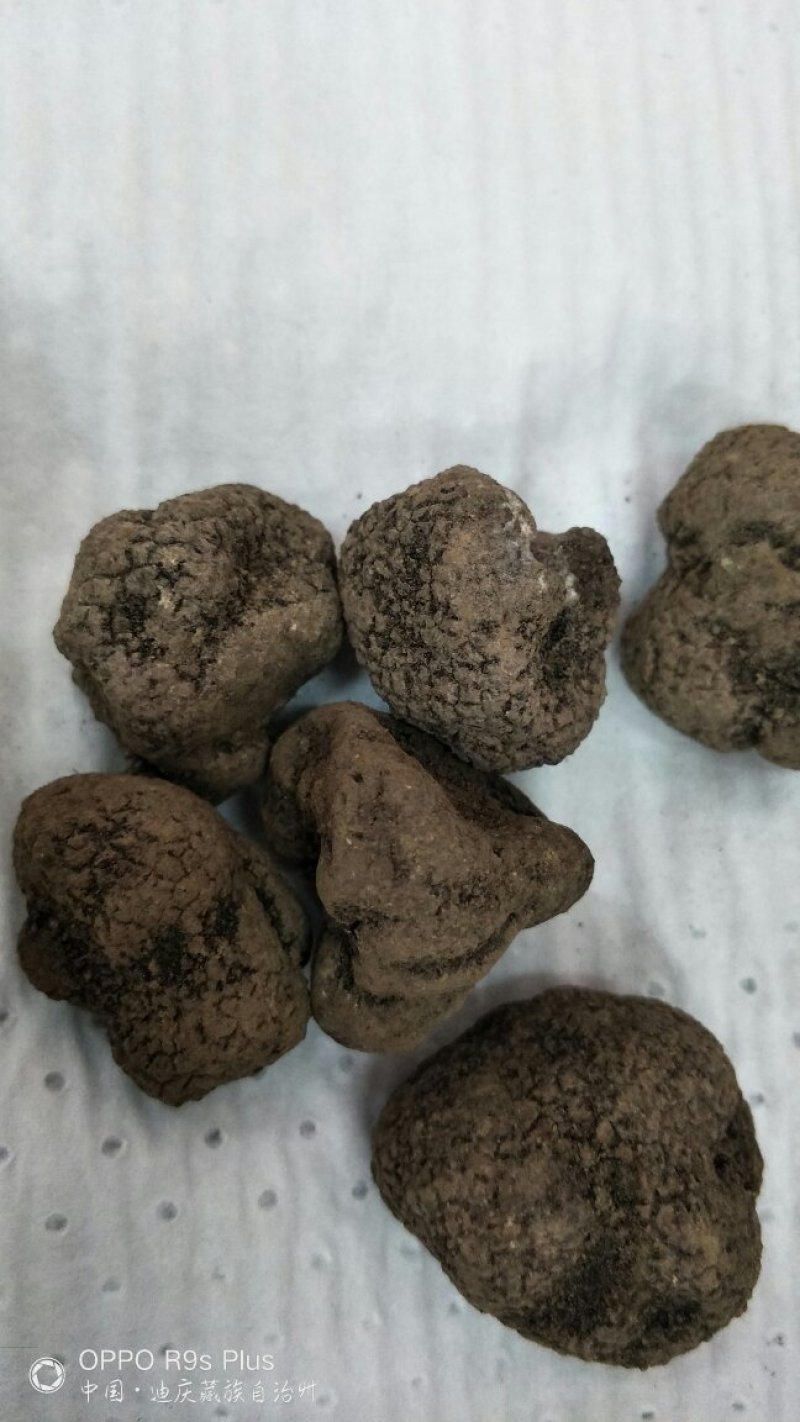 黑松露，3公分以下，包邮