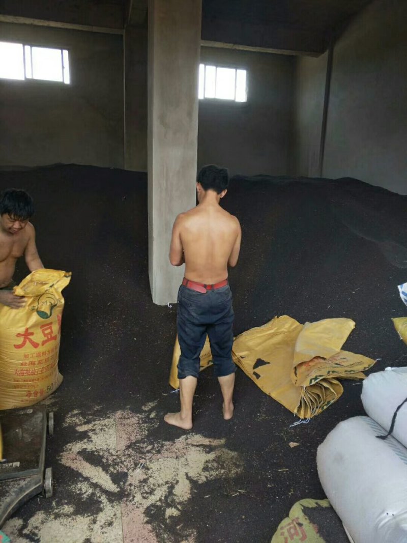 罗平优质油菜籽