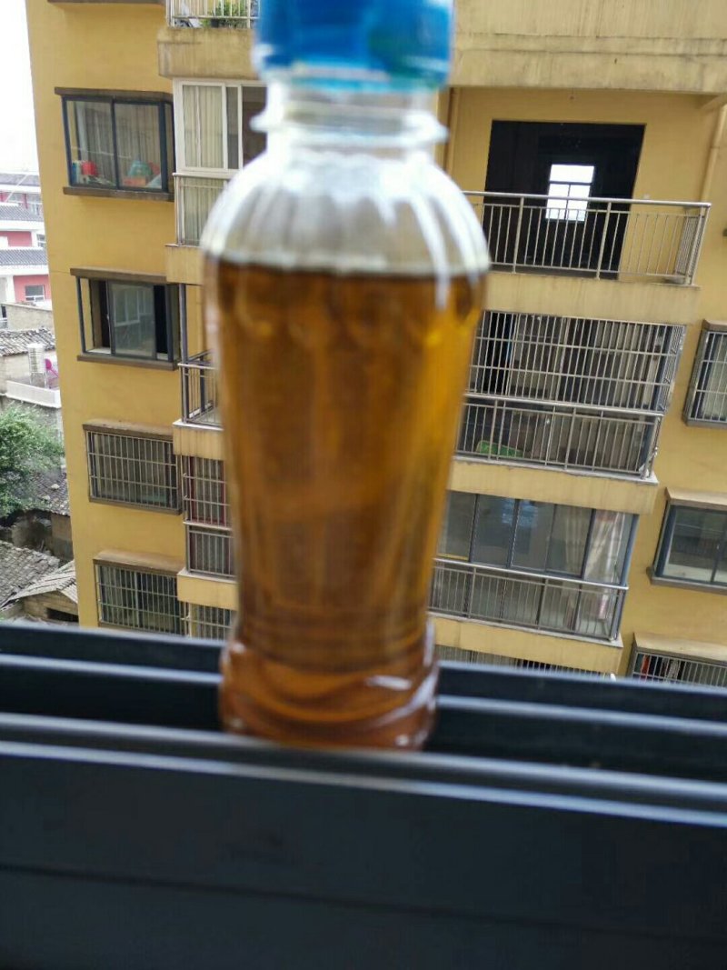 罗平优质油菜籽