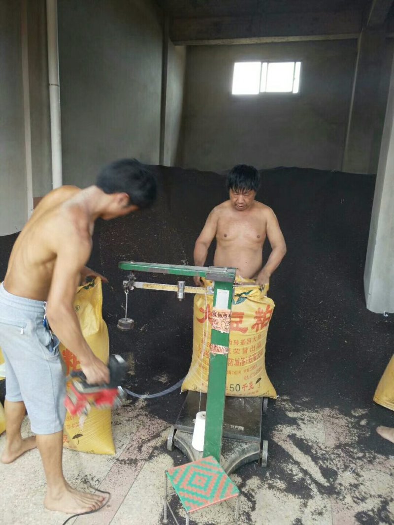 罗平优质油菜籽