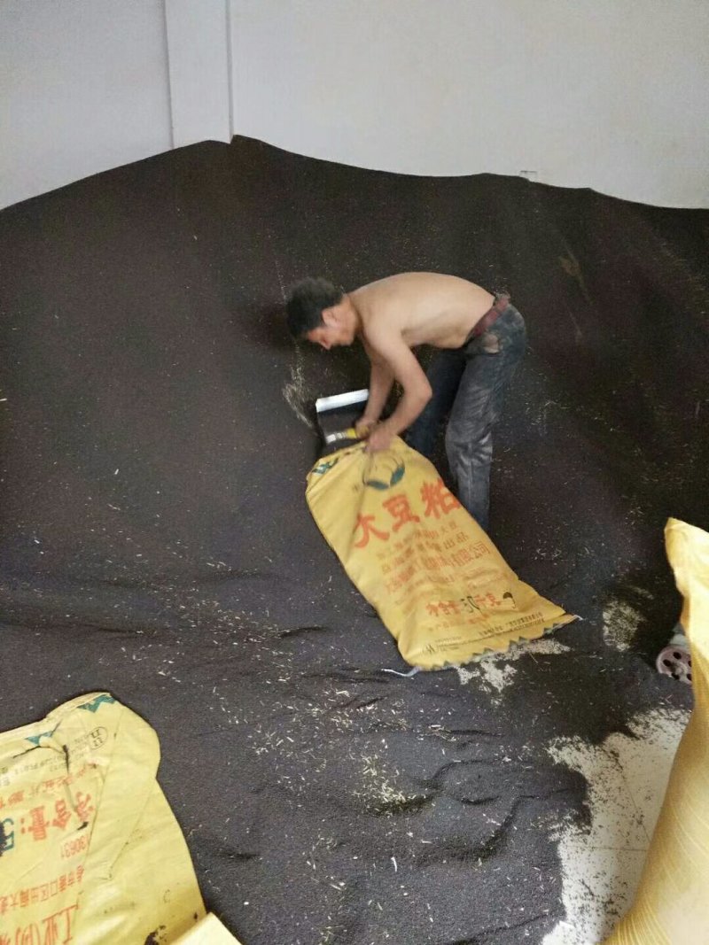 罗平优质油菜籽
