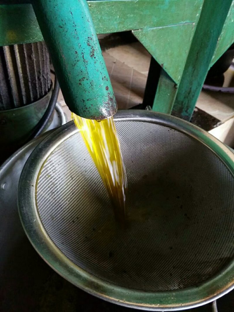 罗平优质油菜籽