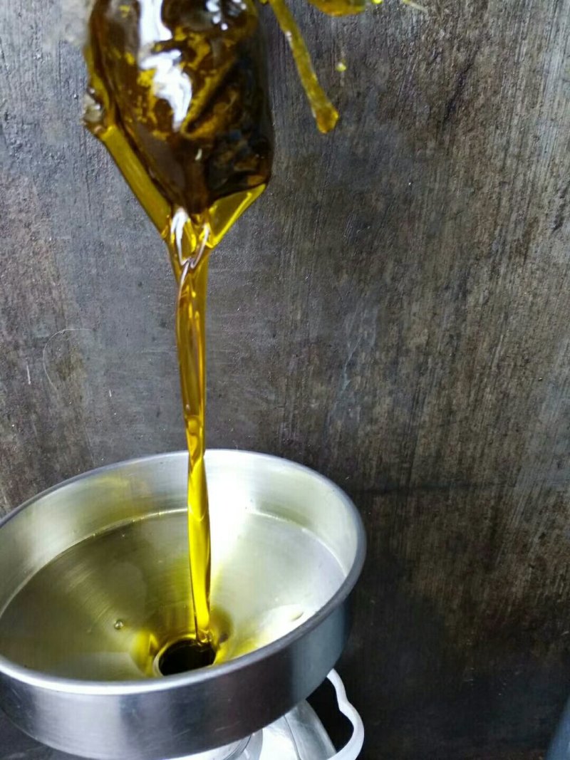 罗平优质油菜籽
