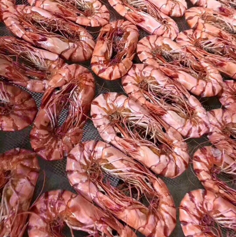 斑节虾