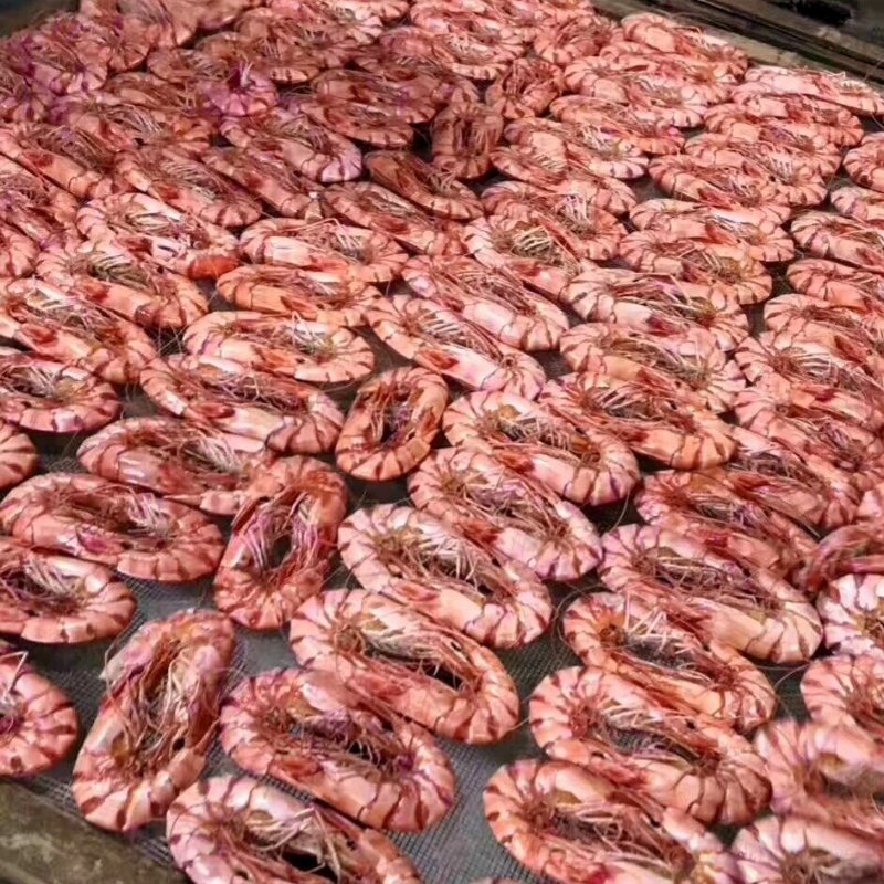 斑节虾