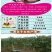 一件代发中大高山百香果