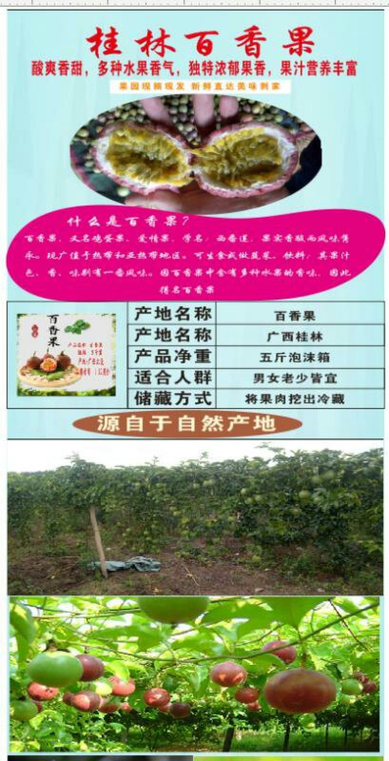 一件代发中大高山百香果