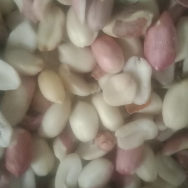 花生米白皮二级，榨油专用花生米