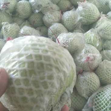 芭乐，福建漳州富硒芭乐，包脆包甜