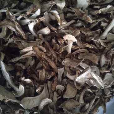 野生美味牛肝菌小片——产地围场直发
