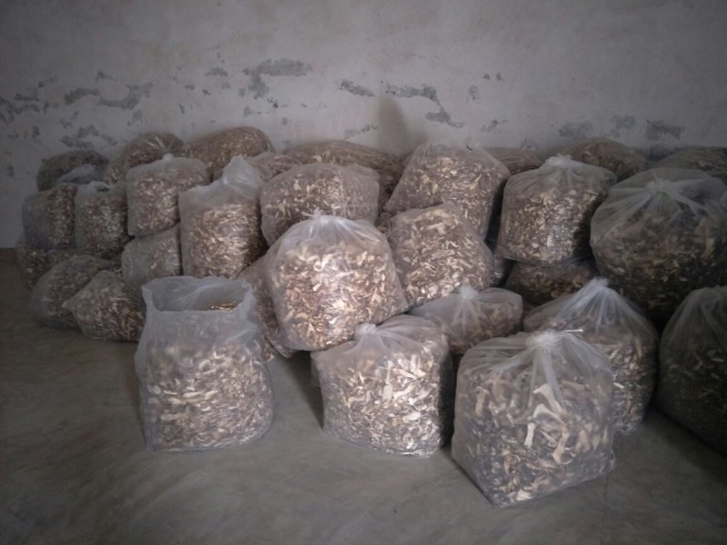 野生美味牛肝菌小片——产地围场直发