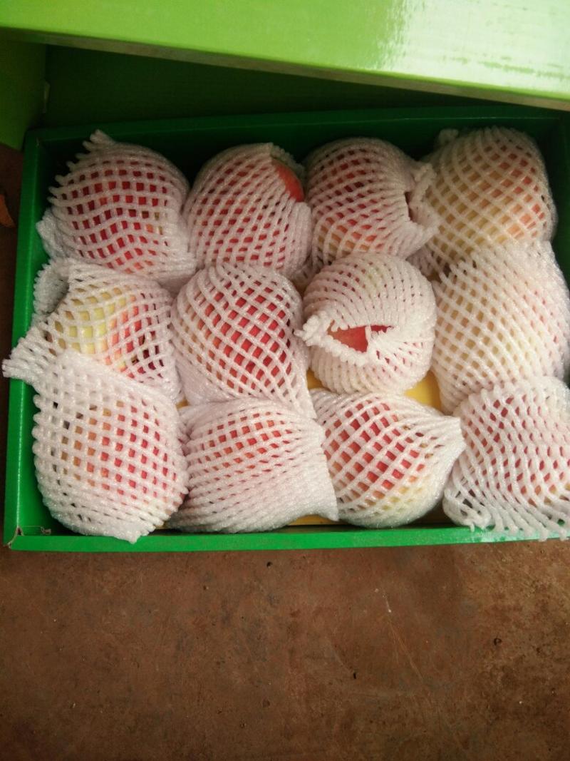 大凉山盐源雪桃世纪桃脆甜预售。