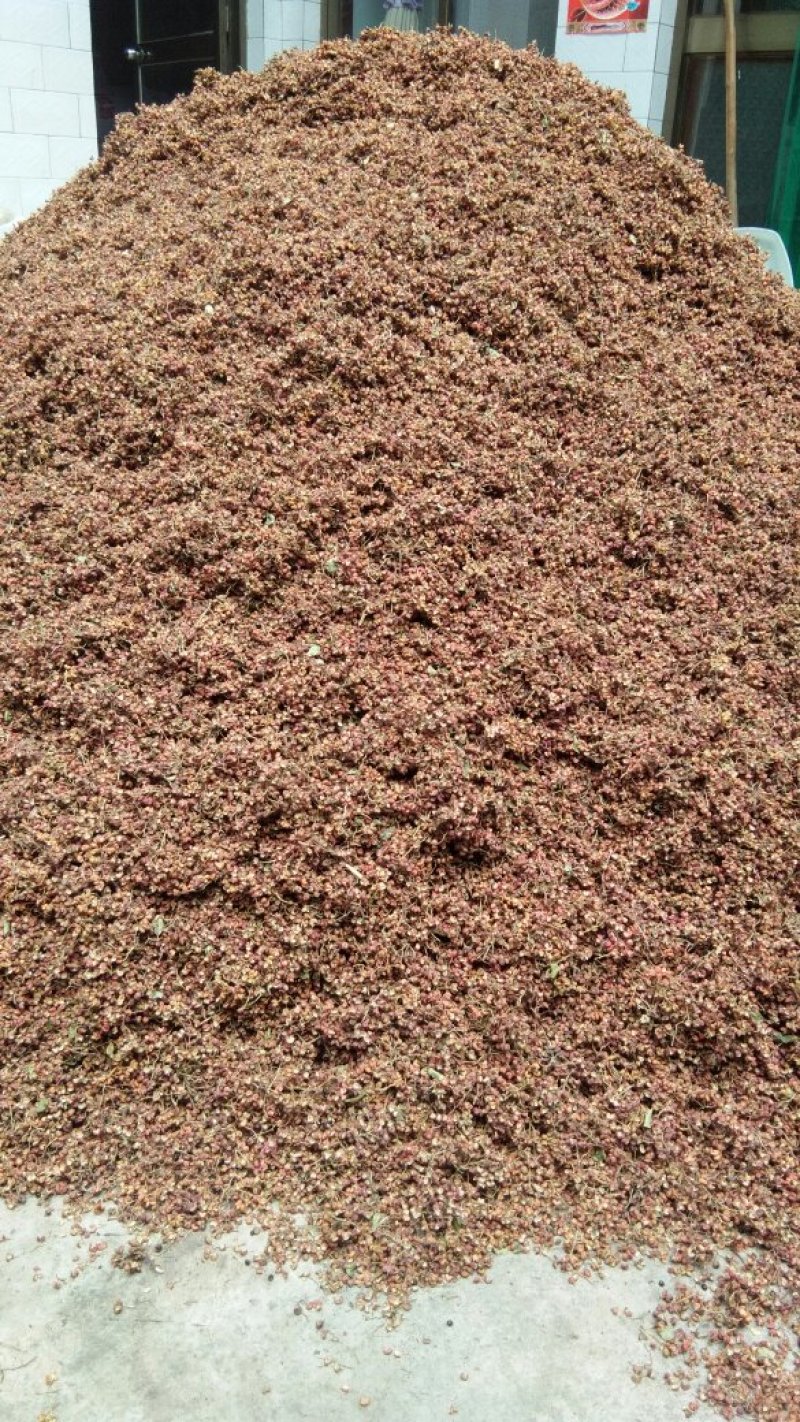 山西省运城市的山地花椒
