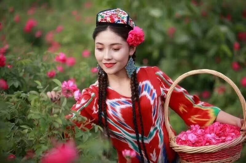 野生玫瑰花和田沙漠玫瑰花