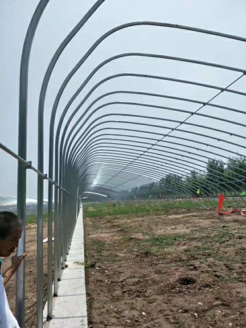 大棚骨架厂家直销镀锌大棚管养羊大棚养猪大棚养牛大