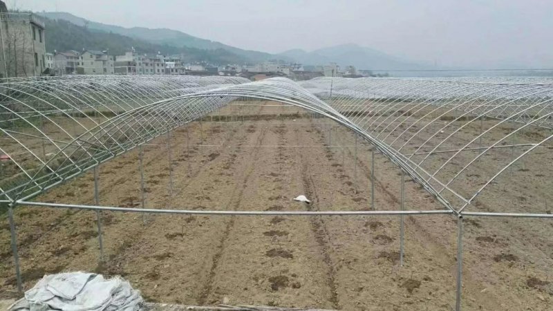 蔬菜大棚蘑菇大棚菌棚西瓜大棚骨架各种规格配件齐全