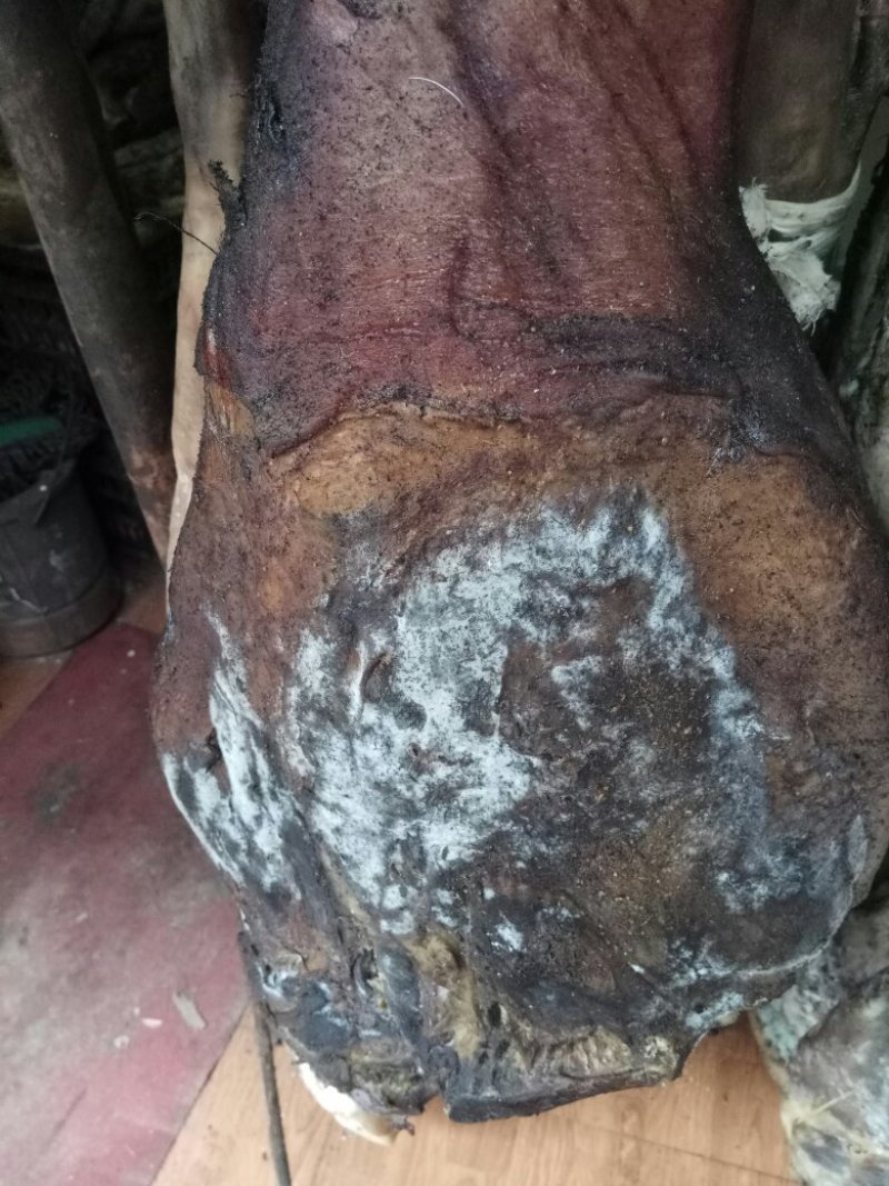 可乐猪火腿(农家自产自销)系列产品