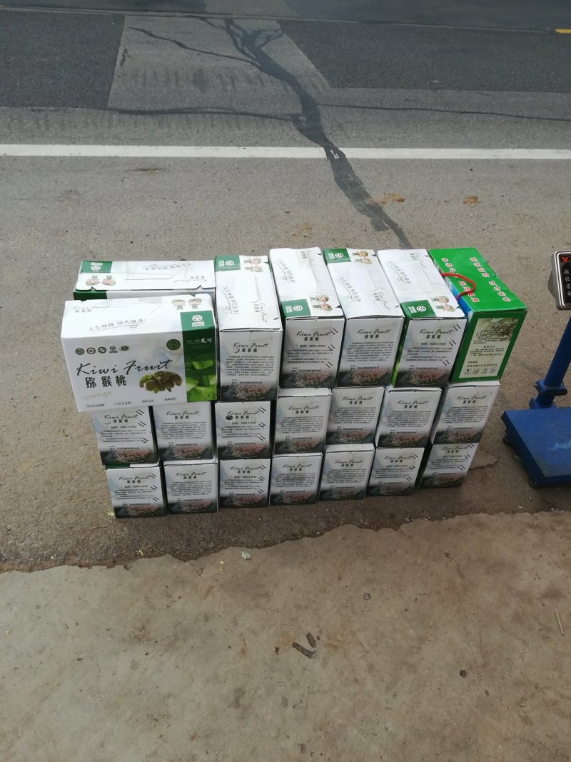博山碧玉猕猴桃