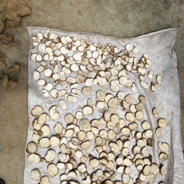 防己片