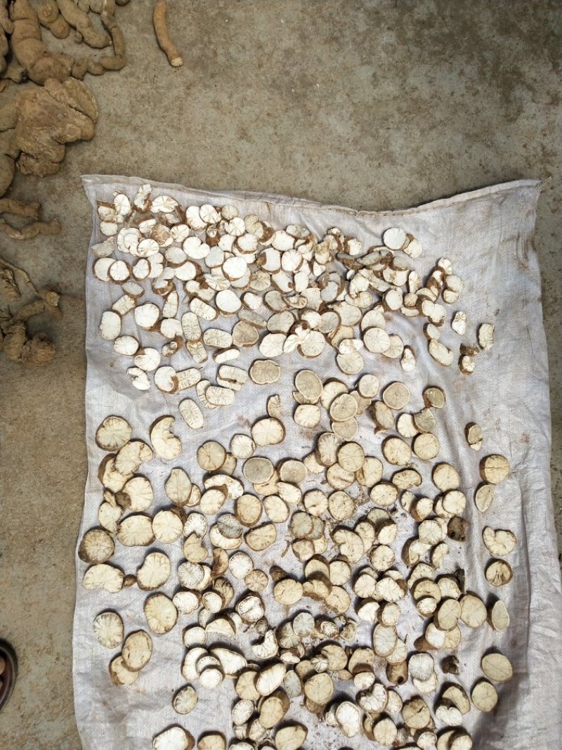 防己片