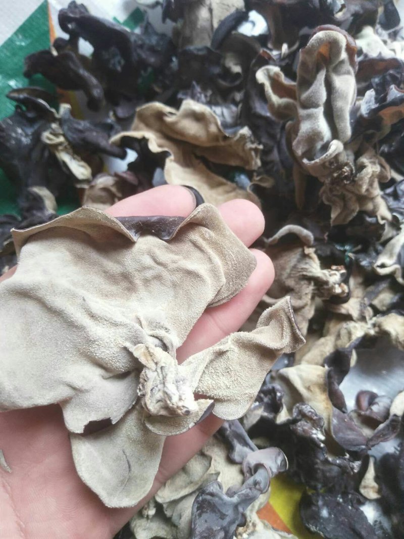 木耳毛木耳东北木耳水发木耳皮耳产地直发包邮