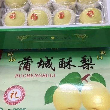 酥梨蒲城酥梨冷库精品