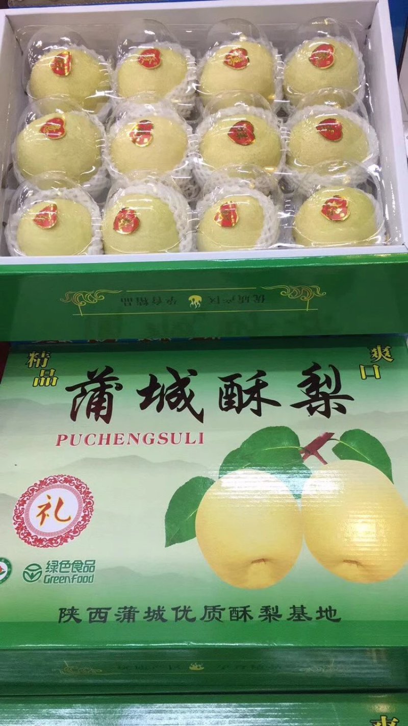 酥梨蒲城酥梨冷库精品