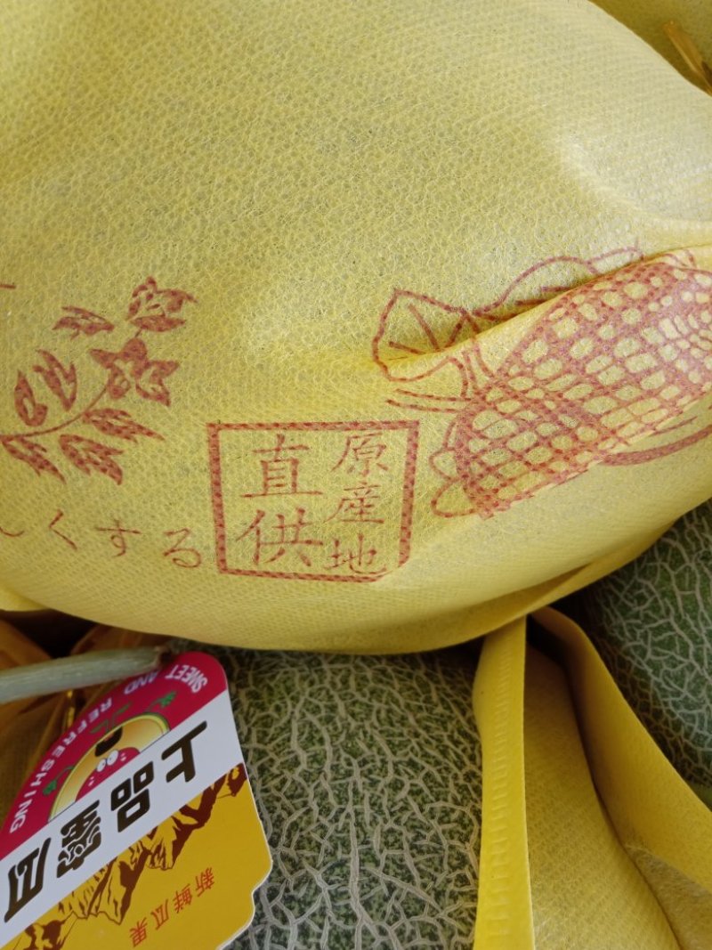 大量上市耀农25号哈密瓜3斤以上椭圆形