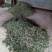 优质野生益母草