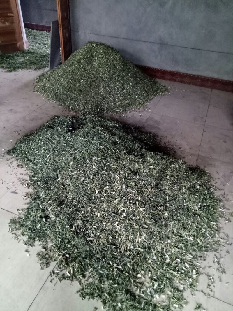 优质野生益母草