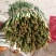 大量韭菜上市，平茬，二茬！