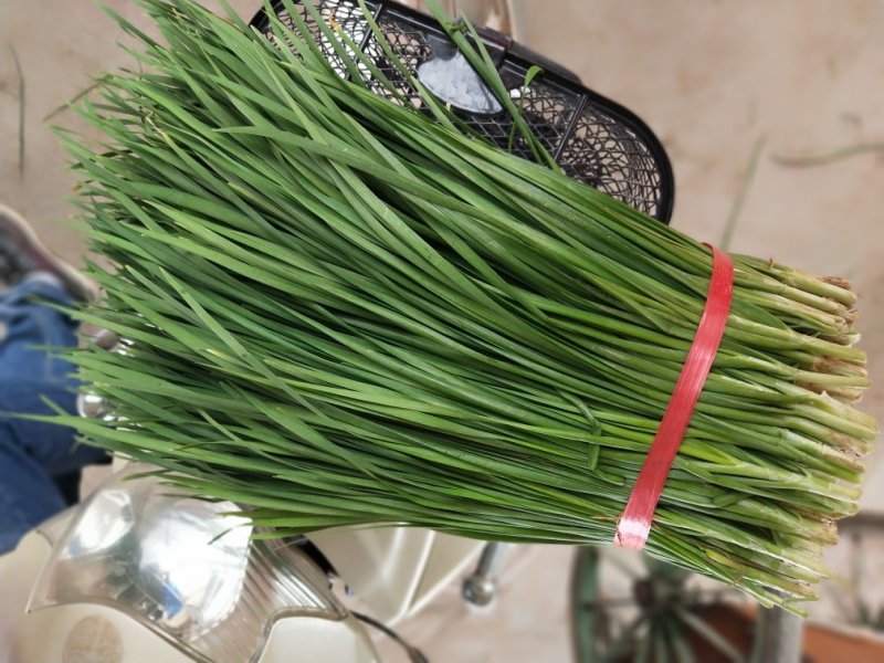大量韭菜上市，平茬，二茬！