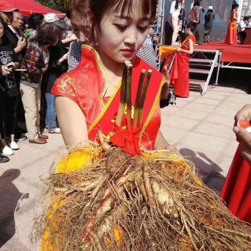 起人参