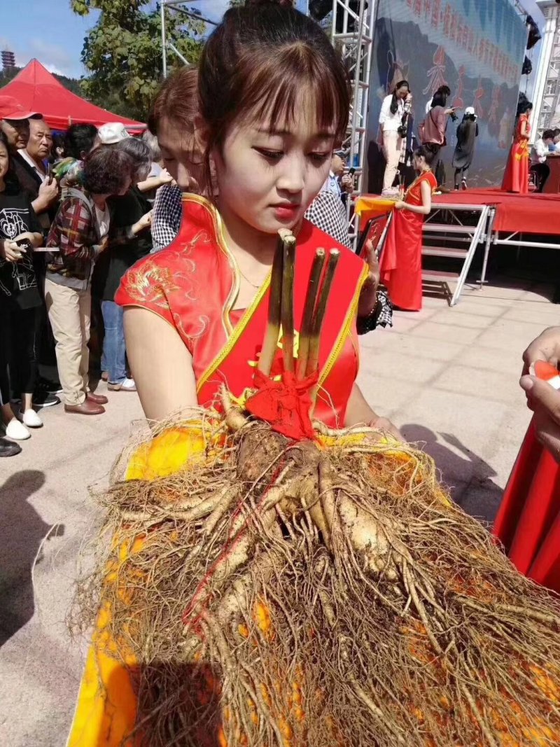 起人参