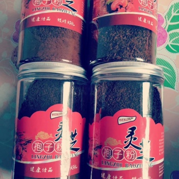 灵芝孢子粉