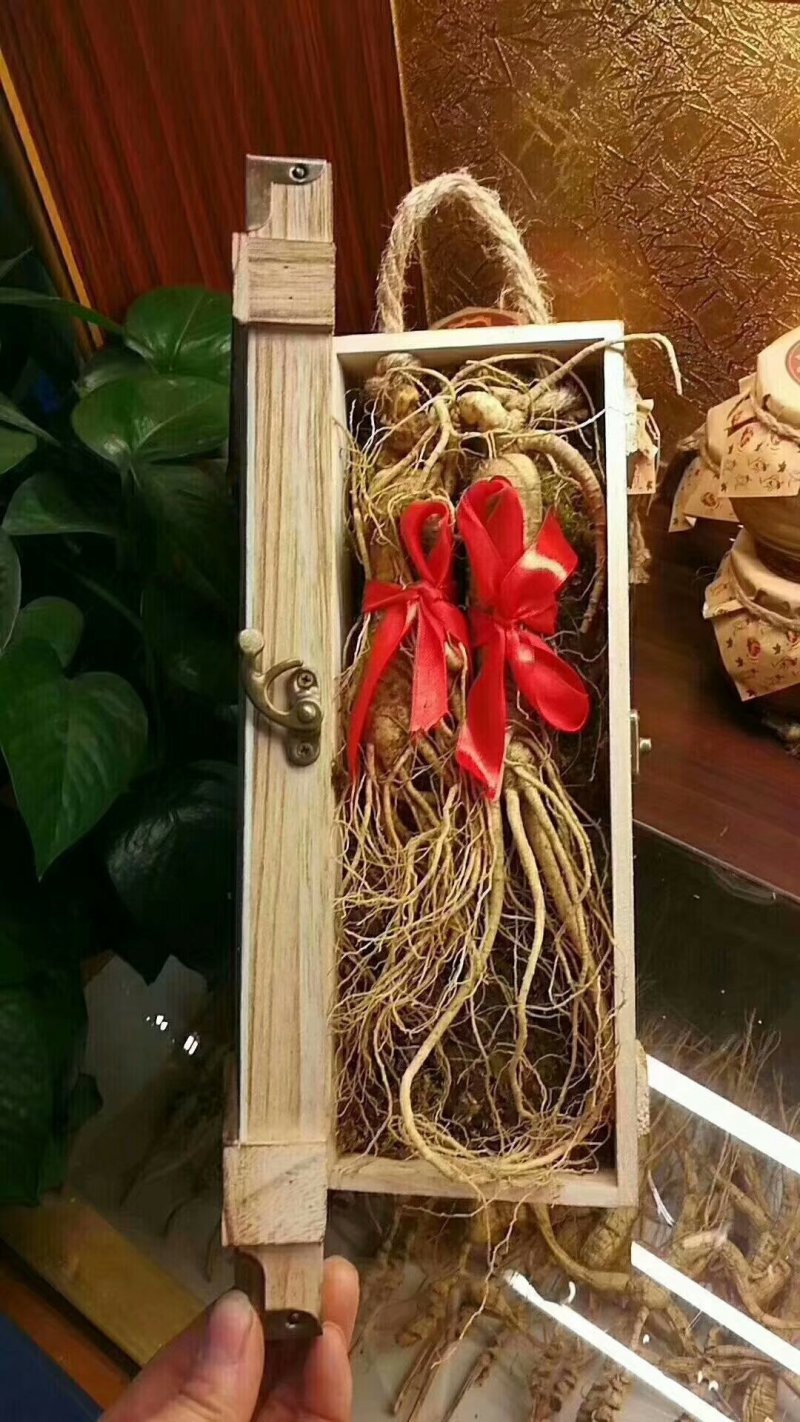 灵芝孢子粉