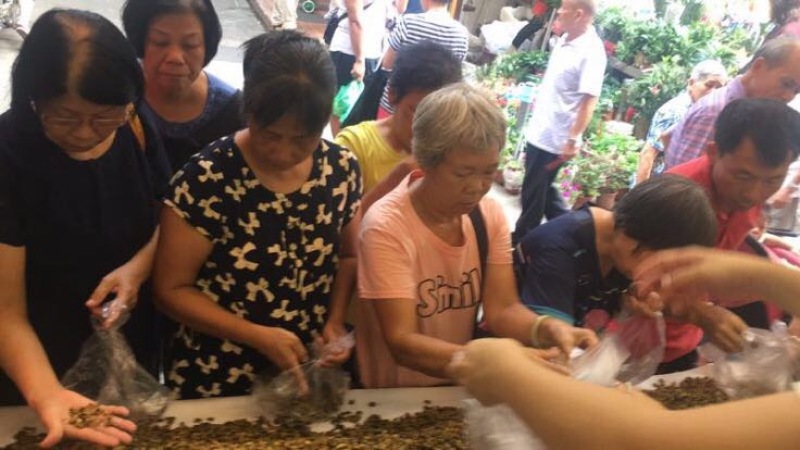 海虹干淡菜干青口贝大连精品淡菜干纯干货