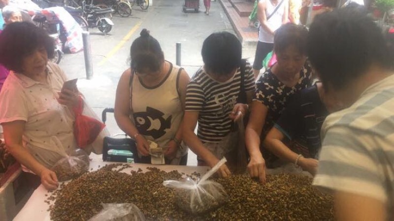 海虹干淡菜干青口贝大连精品淡菜干纯干货
